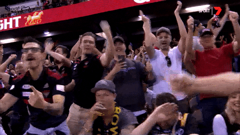 sport fans GIF by Essendon FC