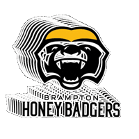 Basketball Nba Sticker by Brampton Honey Badgers