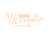 sulamitapereira_ goodmorning bomdia sulamitapo Sticker