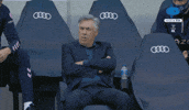 Hm Tottenham GIF by MolaTV
