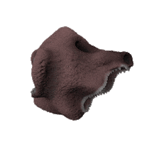 Dog 3D Sticker by Shallow Lagoon