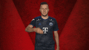 Fifa Hamburg GIF by Bundesliga