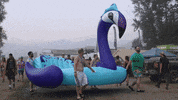 ShambhalaMusicFestival floaties shambhala GIF