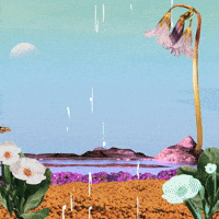 Shambhalahumanresources GIF by Shambhala Music Festival