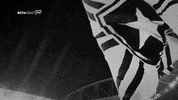 botafogo  GIF