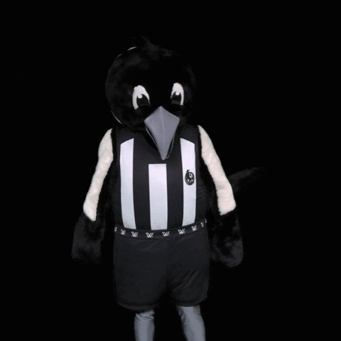Collingwood Magpies No GIF by CollingwoodFC
