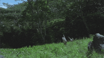jurassic park running GIF