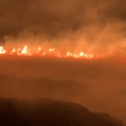 Firefighters Battle Meyers Blaze in Jenner as California Wildfires Rage