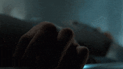 mad city fox GIF by Gotham