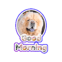 Dogs Chow Sticker by Milagency