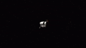 Tier 1 Tierone GIF by Tier One Entertainment