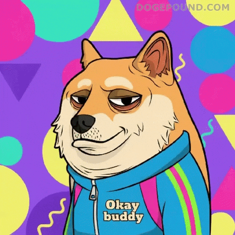 Shiba Inu Ok GIF by Doge Pound