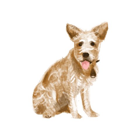 ProtectOne giphygifmaker dog ecopet protectone Sticker