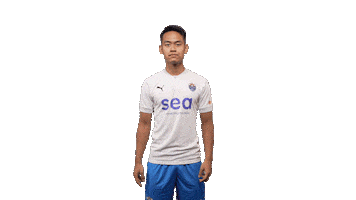 Singapore Premier League Goal Sticker by Lion City Sailors