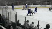 viceland GIF by VICE WORLD OF SPORTS