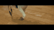 enrique iglesias GIF by Sony Music Perú