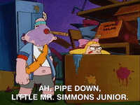 hey arnold nicksplat GIF