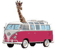 Day Trip Sticker by Insomniac Events