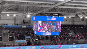 GIF by Olympics