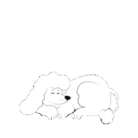 Dog Sleeping White Poodle Sticker by KIKA Lietuva