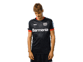 Bayer 04 Werkself Sticker by Bayer 04 Leverkusen