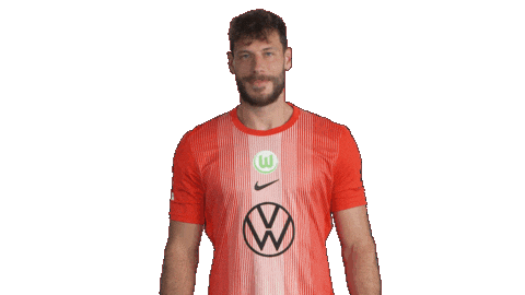 Germany Love Sticker by VfL Wolfsburg