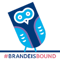 2027 Sticker by Brandeis University