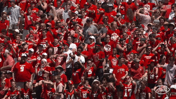Accfootball Ncsufootball GIF by The ACC