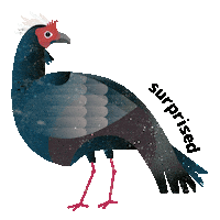 Vietnam Pheasant Sticker by Zoo Leipzig