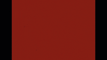 Adelaide GIF by Johnny Orlando