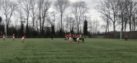 svDSOmeiden giphyupload GIF