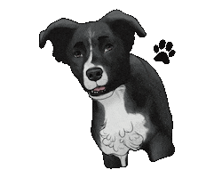 Pet Dog Sticker