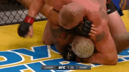 Brock Lesnar GIF by UFC