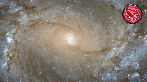 Eye Looking GIF by ESA/Hubble Space Telescope