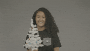 Christmas GIF by Jpixx