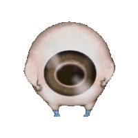 Eyes Sticker
