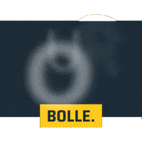 Neuer Post Sticker by BOLLE.