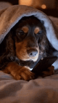 Watching All Night GIF