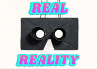 Fun Reality GIF