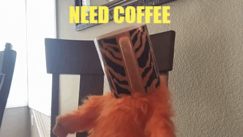 Good Morning Want GIF by Fluffy Friends