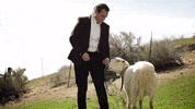 GIF by PETA