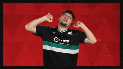 Hannover 96 Football GIF by Bundesliga