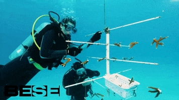 blue planet ocean GIF by BESE