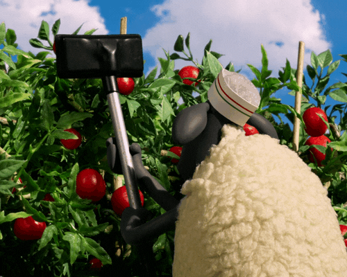Shaun The Sheep Garden GIF by Aardman Animations