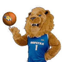 New York Basketball Sticker by Hofstra University