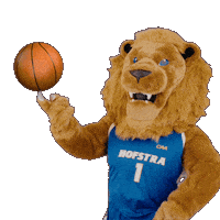 New York Basketball Sticker by Hofstra University