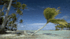r and r vacation GIF