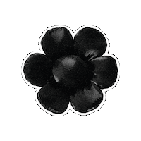 Coller Sticker by LINE FRIENDS