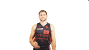 Alex Stein Sticker by Czarni Słupsk