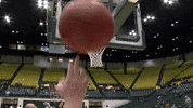 Gotribe Tribeathletics GIF by William & Mary Tribe Athletics